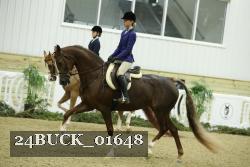 24BUCK_01648 thumbnail
