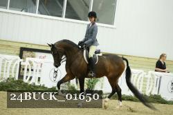 24BUCK_01650 thumbnail