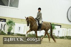 24BUCK_01651 thumbnail