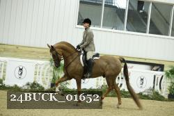 24BUCK_01652 thumbnail