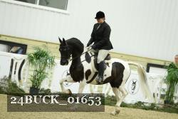 24BUCK_01653 thumbnail