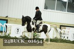 24BUCK_01654 thumbnail