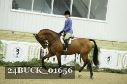 24BUCK_01656 thumbnail