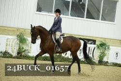 24BUCK_01657 thumbnail