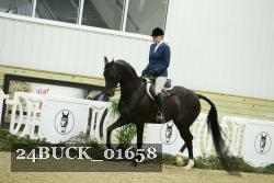 24BUCK_01658 thumbnail