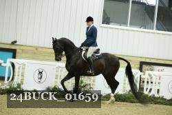 24BUCK_01659 thumbnail