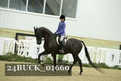 24BUCK_01660 thumbnail