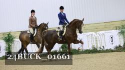24BUCK_01661 thumbnail