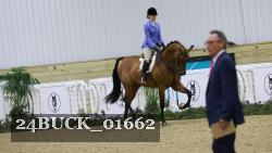 24BUCK_01662 thumbnail