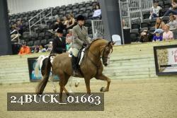 24BUCK_01663 thumbnail