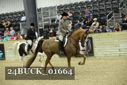 24BUCK_01664 thumbnail