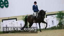 24BUCK_01665 thumbnail