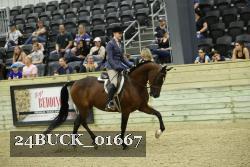 24BUCK_01667 thumbnail