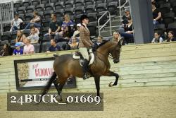 24BUCK_01669 thumbnail
