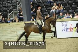 24BUCK_01670 thumbnail
