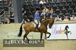 24BUCK_01672 thumbnail