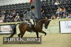24BUCK_01673 thumbnail