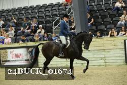 24BUCK_01674 thumbnail