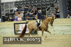 24BUCK_01675 thumbnail