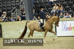 24BUCK_01676 thumbnail