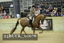 24BUCK_01678 thumbnail