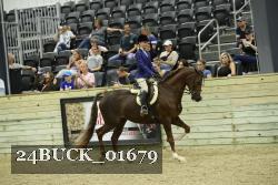 24BUCK_01679 thumbnail