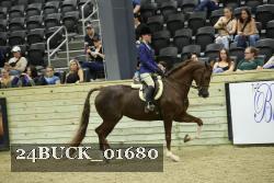 24BUCK_01680 thumbnail