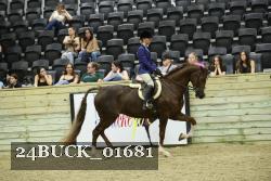 24BUCK_01681 thumbnail