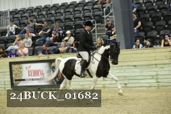 24BUCK_01682 thumbnail