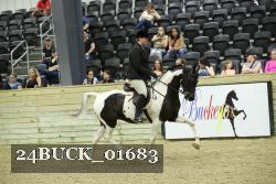 24BUCK_01683 thumbnail