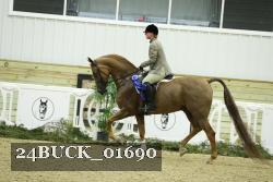 24BUCK_01690 thumbnail