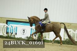 24BUCK_01691 thumbnail