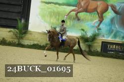 24BUCK_01695 thumbnail