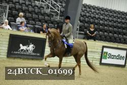 24BUCK_01699 thumbnail