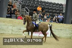 24BUCK_01700 thumbnail