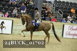 24BUCK_01702 thumbnail