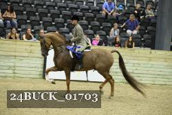 24BUCK_01703 thumbnail