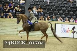 24BUCK_01704 thumbnail