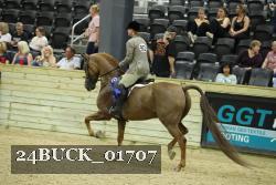 24BUCK_01707 thumbnail