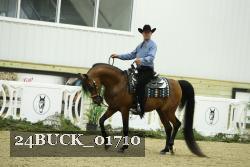 24BUCK_01710 thumbnail