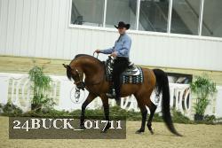 24BUCK_01711 thumbnail
