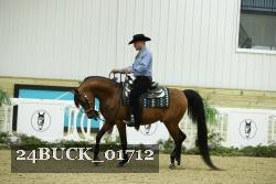 24BUCK_01712 thumbnail