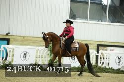 24BUCK_01715 thumbnail