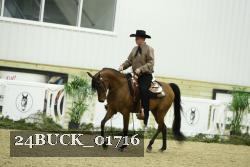 24BUCK_01716 thumbnail