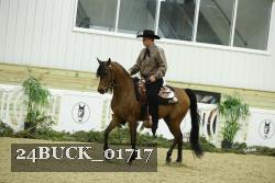 24BUCK_01717 thumbnail