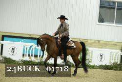 24BUCK_01718 thumbnail