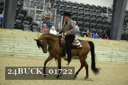 24BUCK_01722 thumbnail