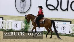 24BUCK_01724 thumbnail