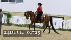24BUCK_01725 thumbnail