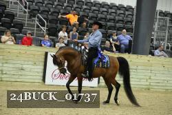 24BUCK_01737 thumbnail